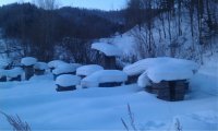 月光下的雪人