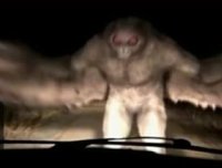 未解之谜十大骇人不明飞行生物!