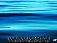 海洋深处究竟隐藏多少不为人知的秘密? 盘点五大神秘诡异生物