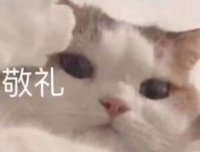 252天灵异研究目录①:梦