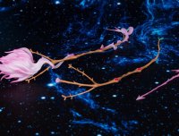 萧师奇闻录 | 出道弟子正式学法的触发机缘