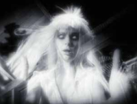 老树下的女鬼到底是从哪里来的