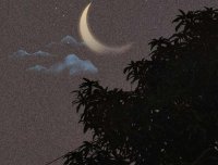 初中宿舍的灵异经历