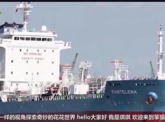 轮船神秘消失，冰封在冰川里，5个神秘的船只灵异事件