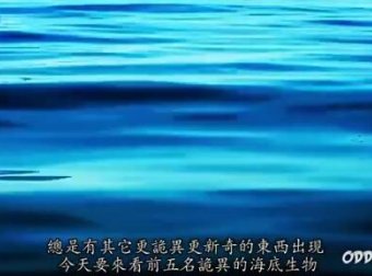 海洋深处究竟隐藏多少不为人知的秘密? 盘点五大神秘诡异生物