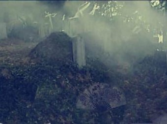 老一辈人讲的邪乎的事