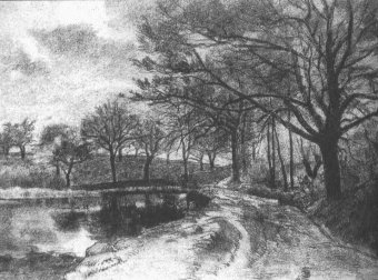 传说中的三角地