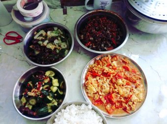 小时候梦到有个会说话的蛇找我