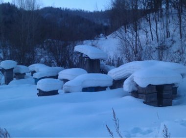 月光下的雪人