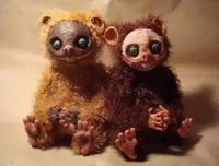 我的经历之娃娃狗！