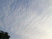 梦境与现实有些相同