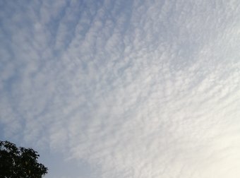 梦境与现实有些相同