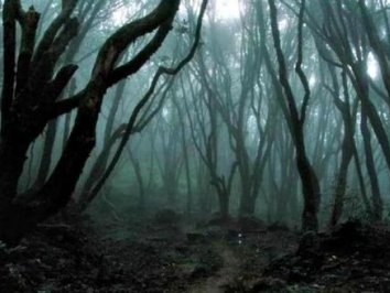 叔叔在山上遇到的怪人